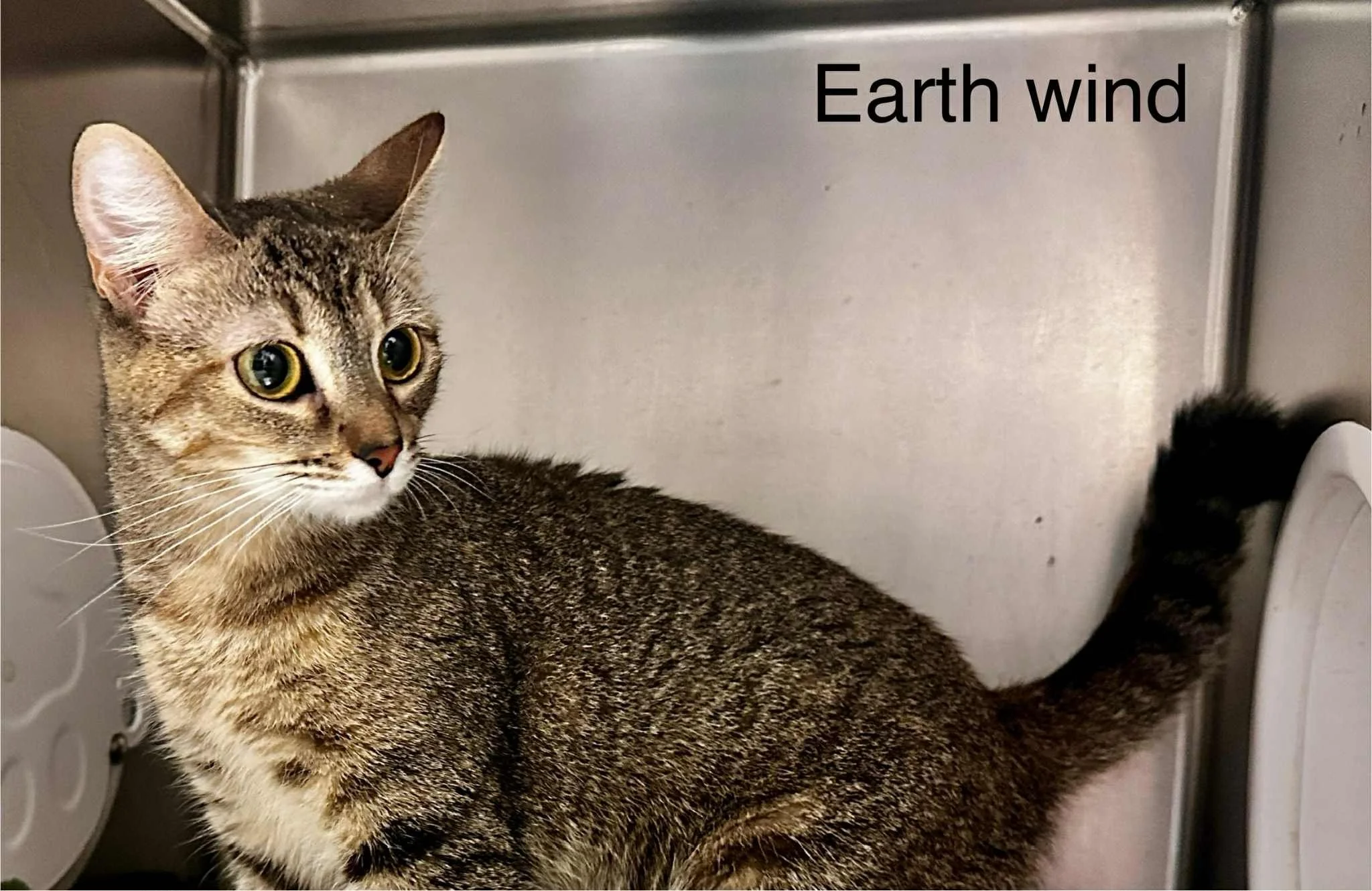 Earthwind.jpg