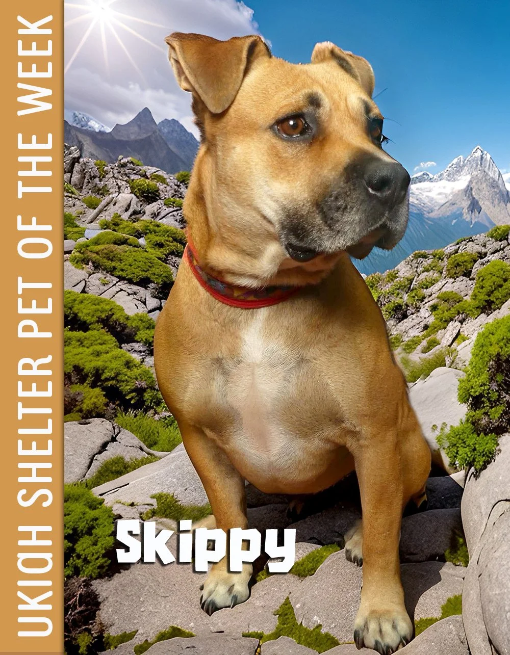 SKIPPY-pow.jpg