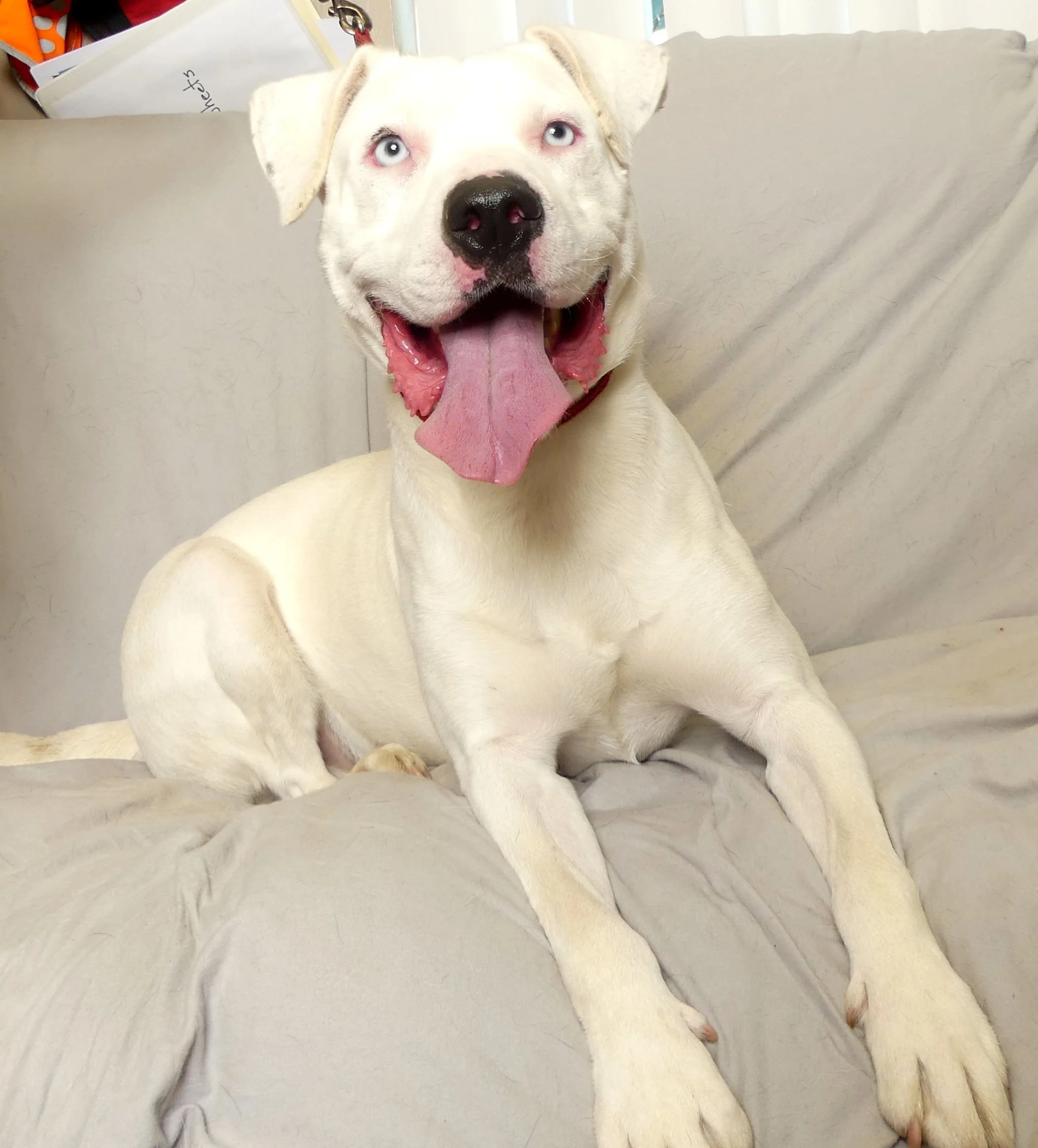 Casper 5.jpg
