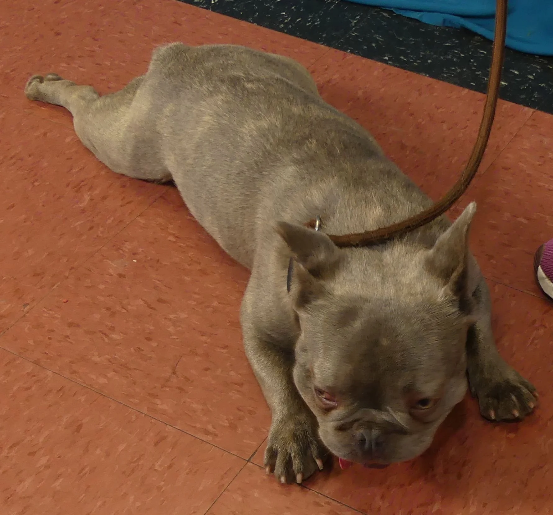 Stitch 2.jpg
