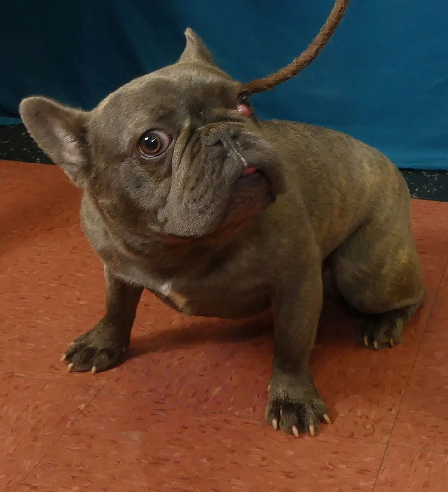 Leroy 2.jpg
