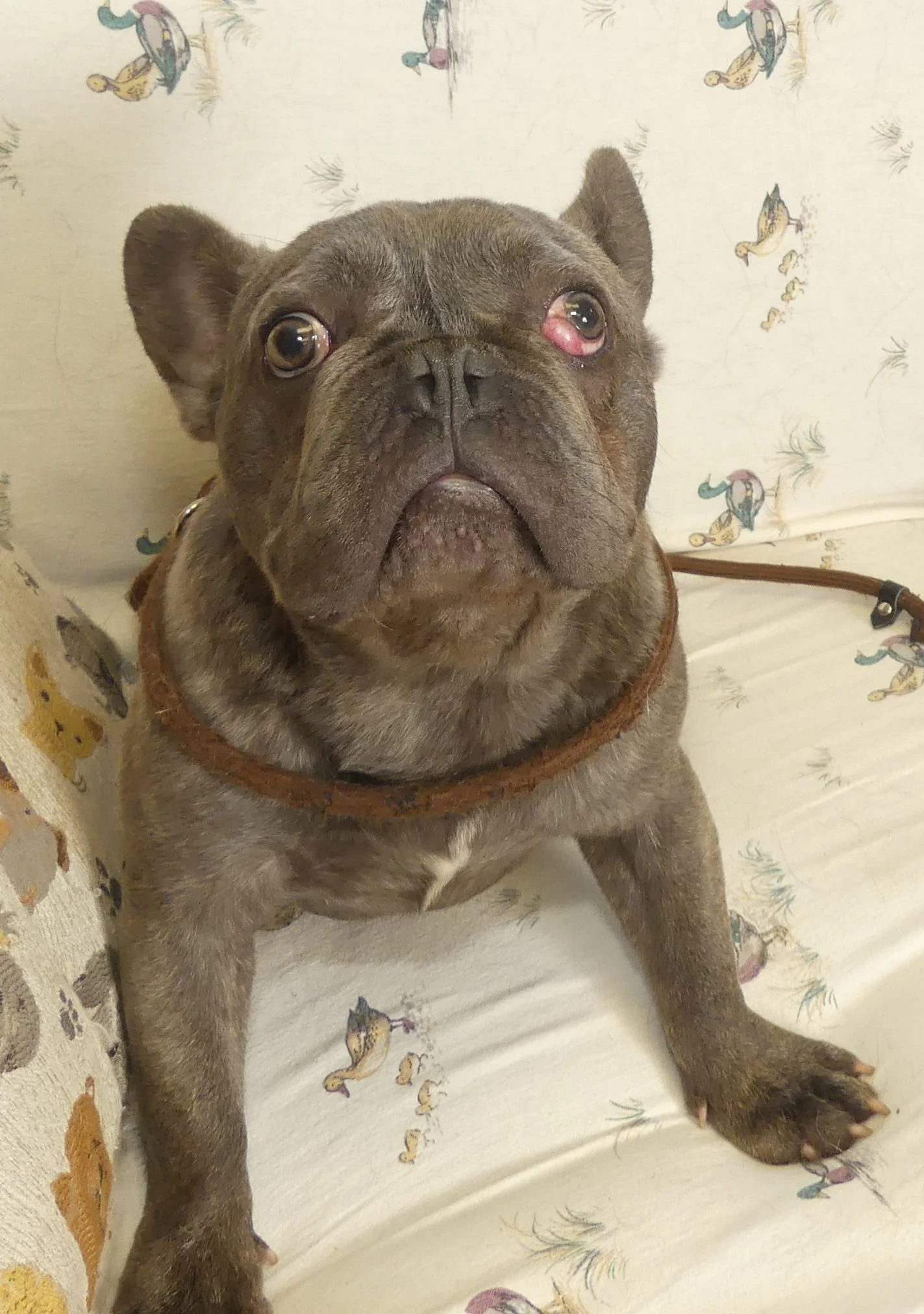 Leroy 4.jpg