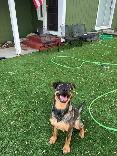 Daisy 9.jpg
