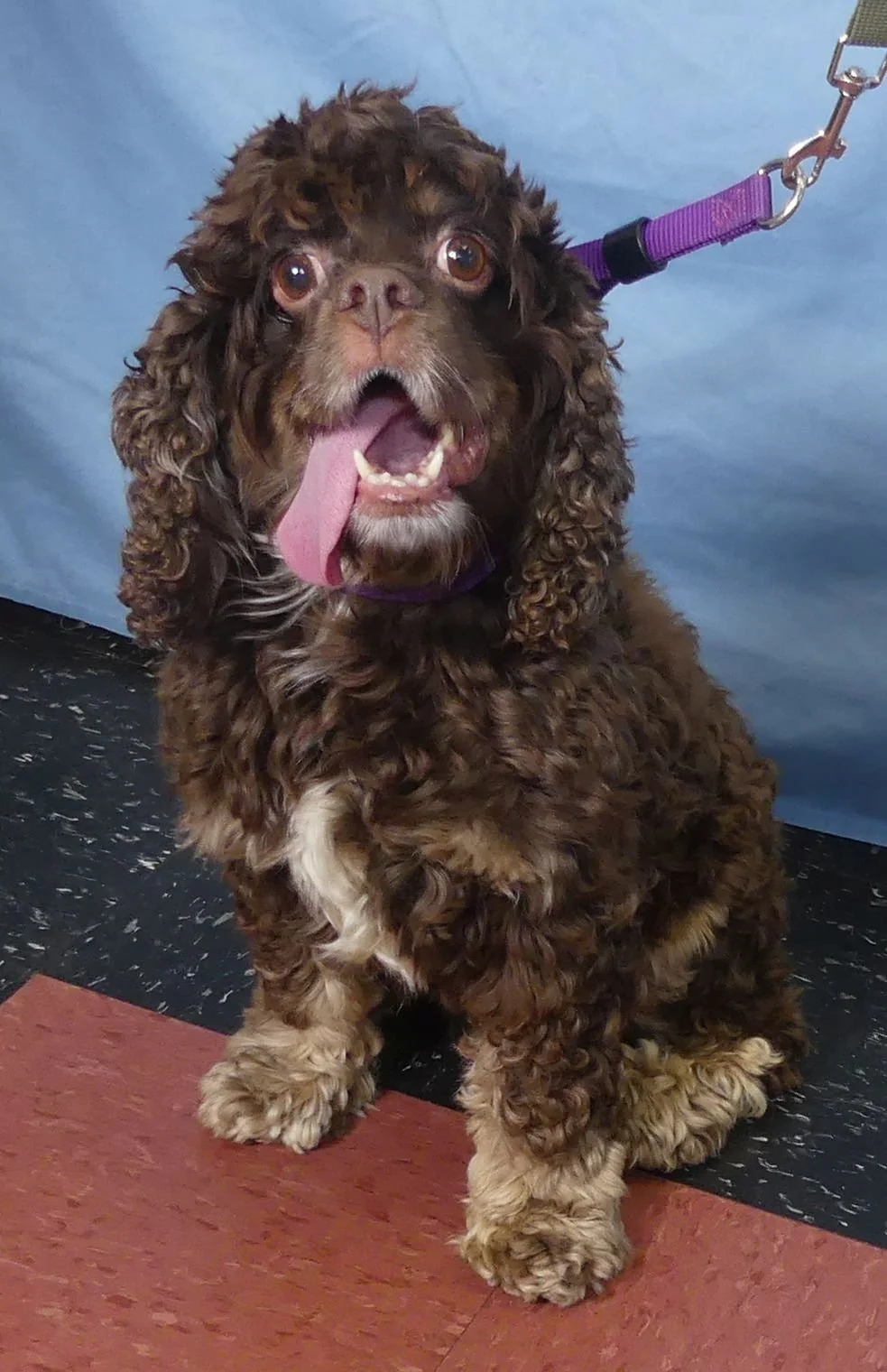 Duffy 4.jpg