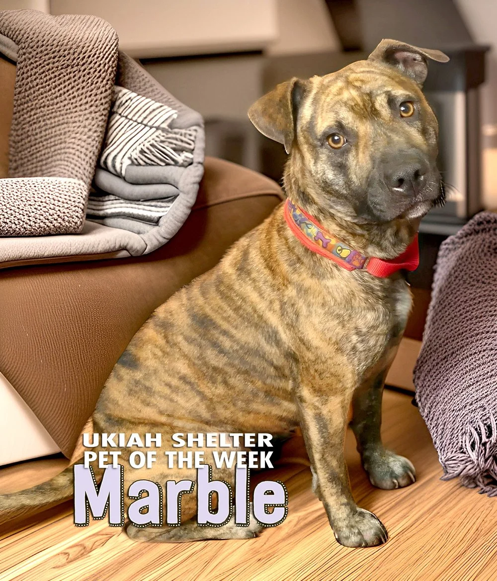 MARBLE-POW copy.jpg