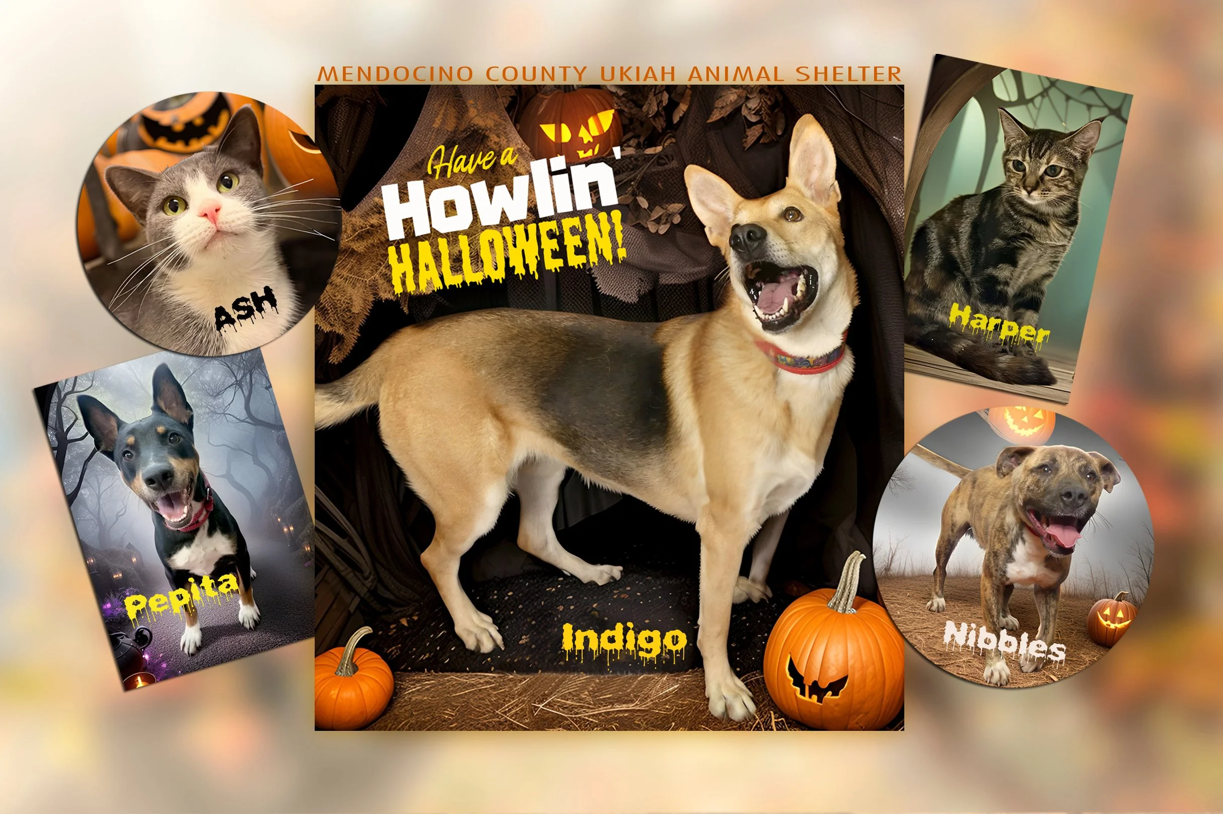 HOWLING-halloween2020!.jpg