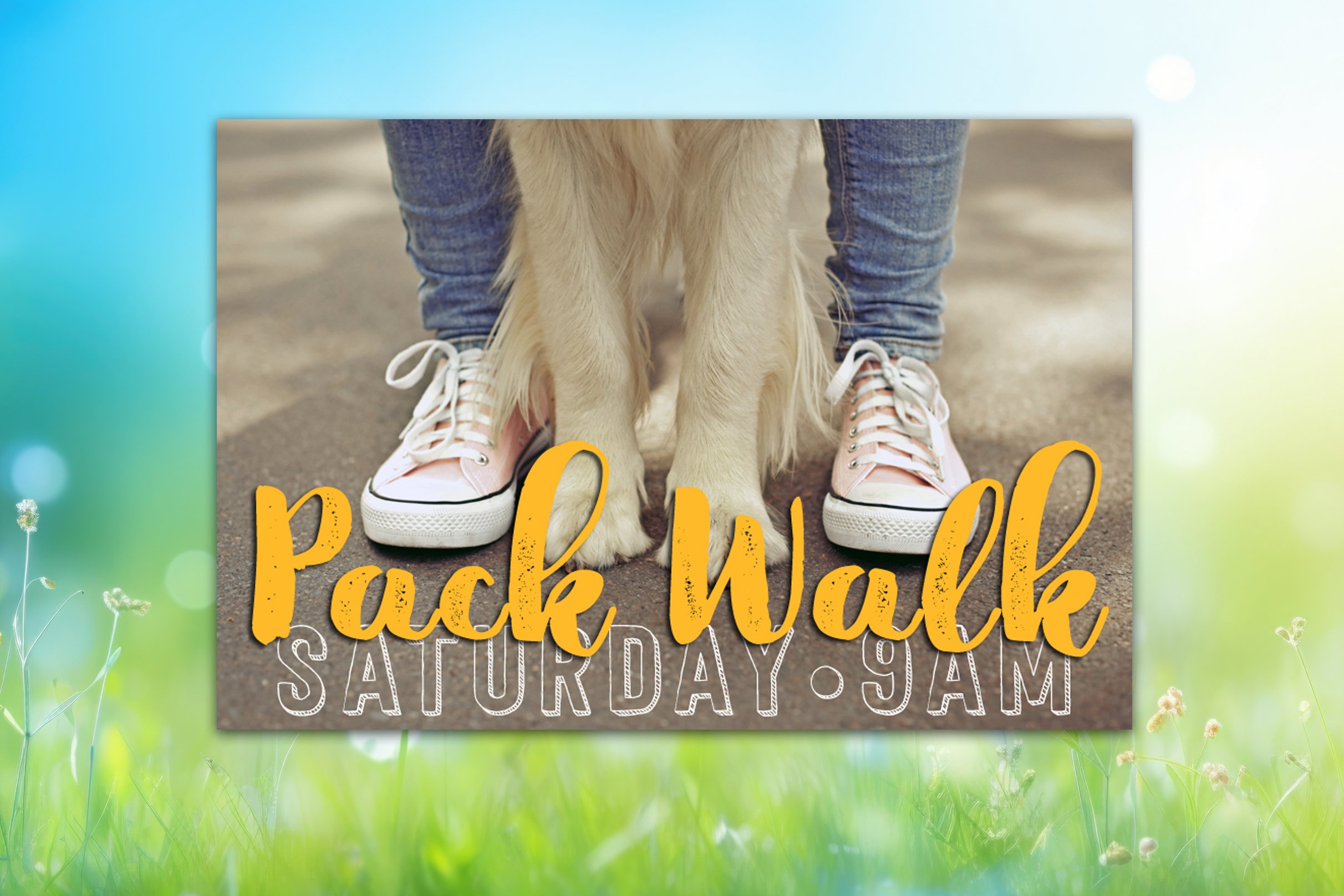 PACK-WALK-2026 copy.jpg