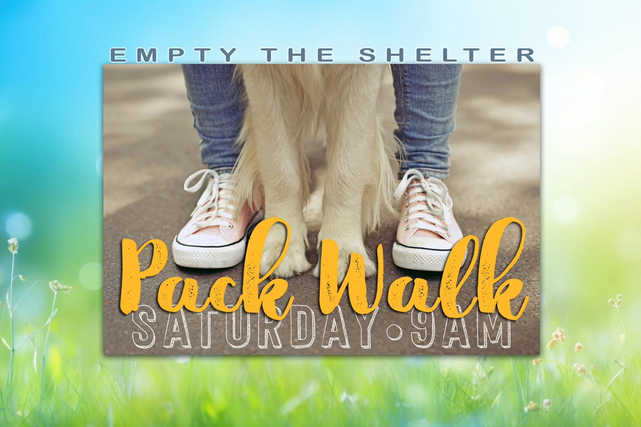 PACK-WALK-8_2026.jpg