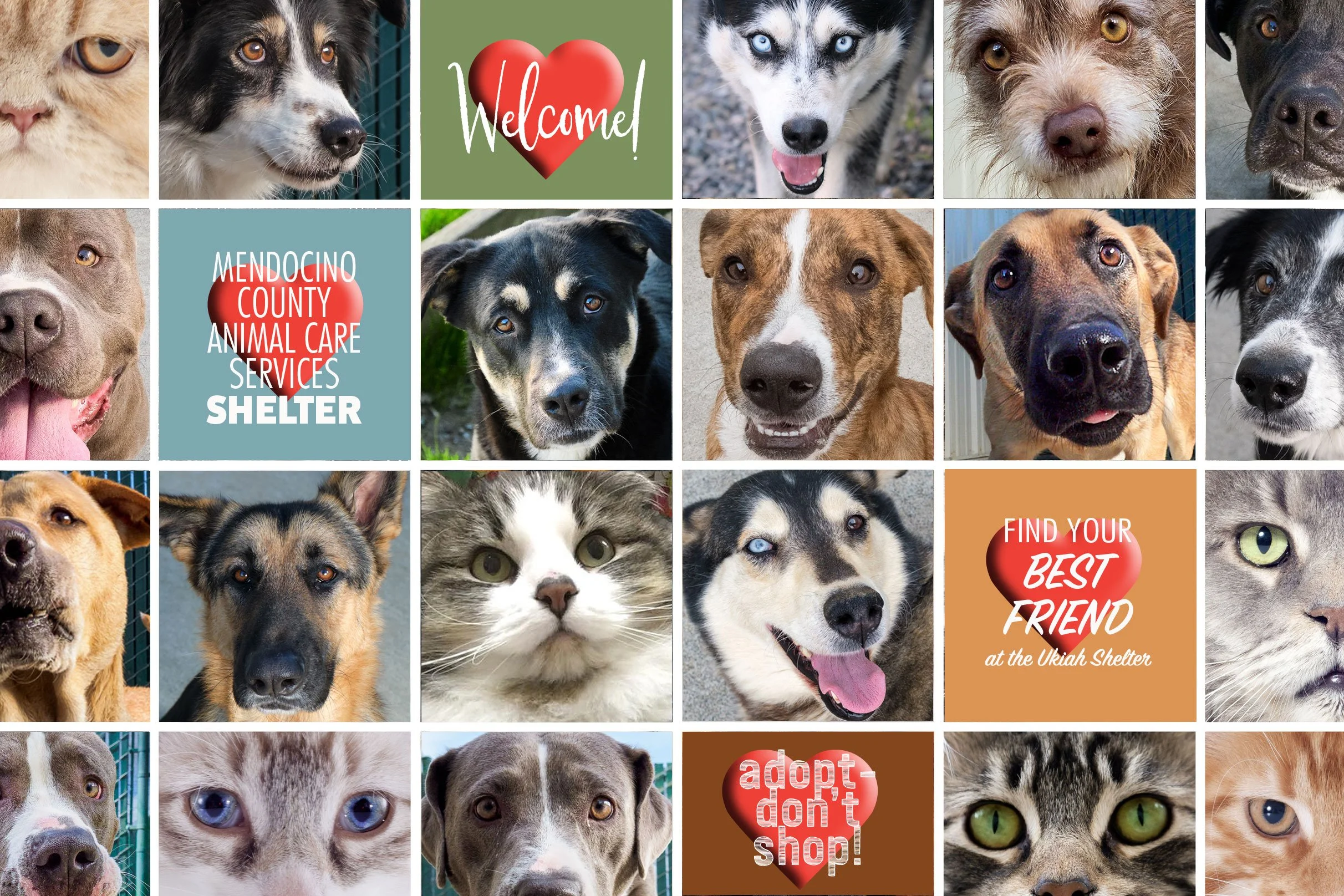 SPLASH-PAGE-NEW-2023 copy.jpg