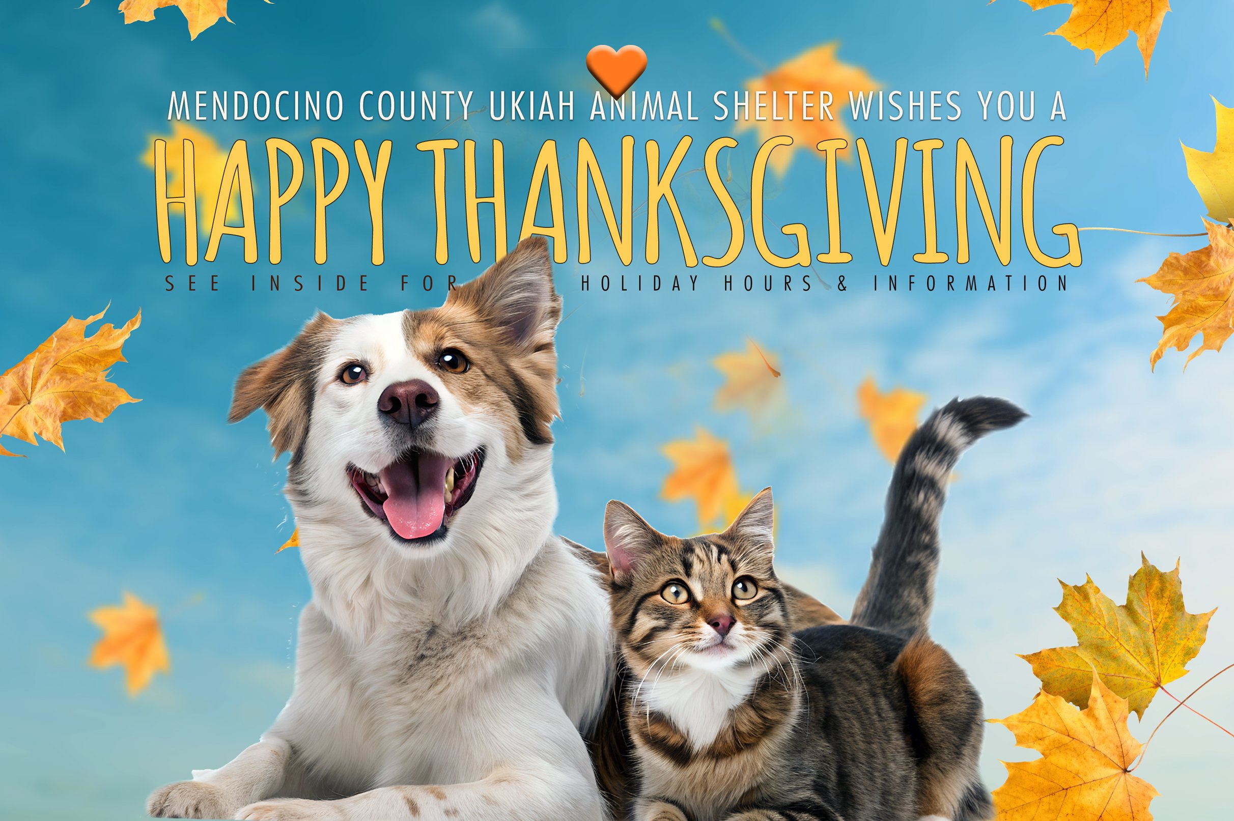 Thanksgiving-2025.2 copy.jpg