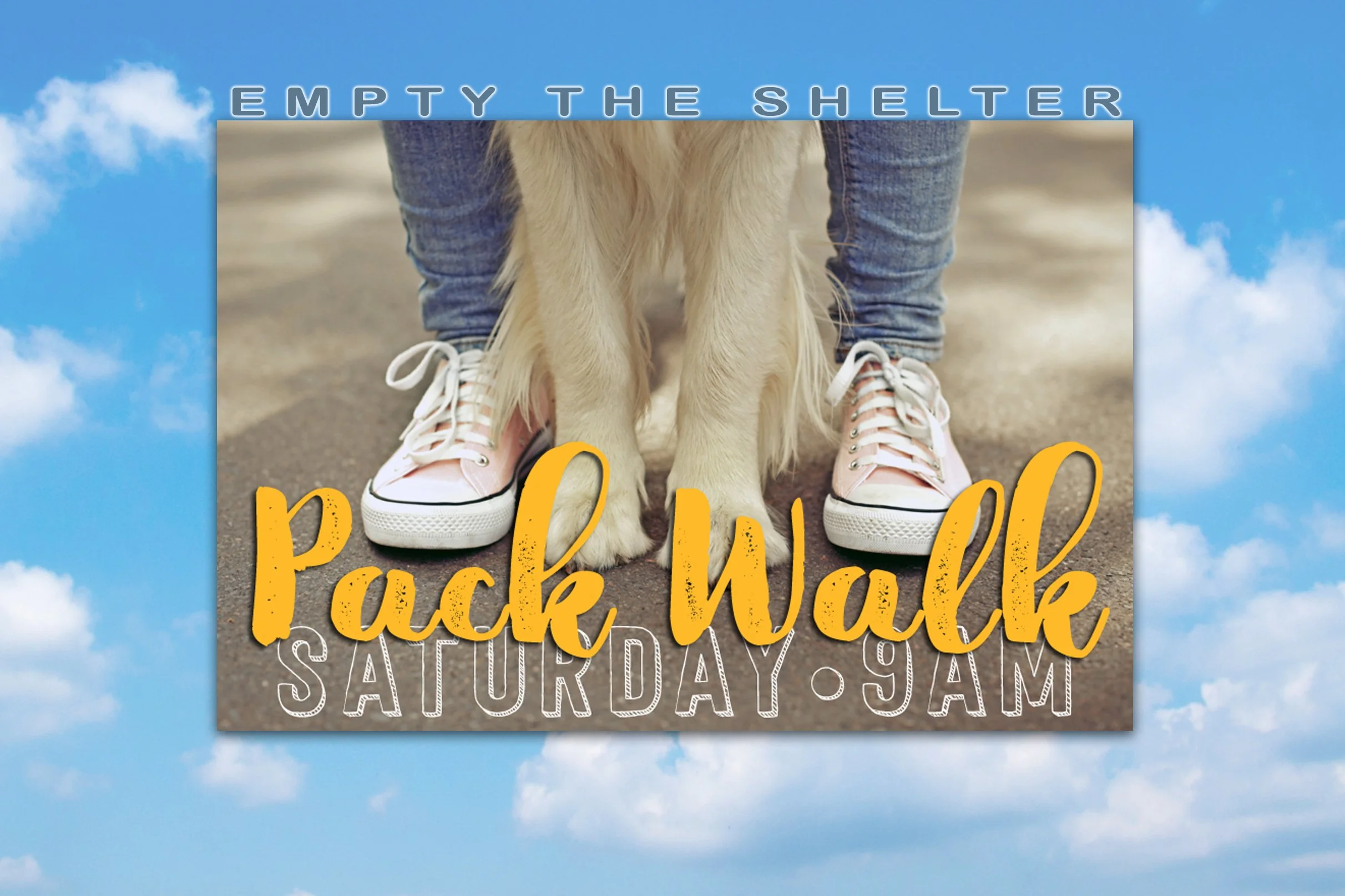 PACK-WALK-GENERIC.jpg