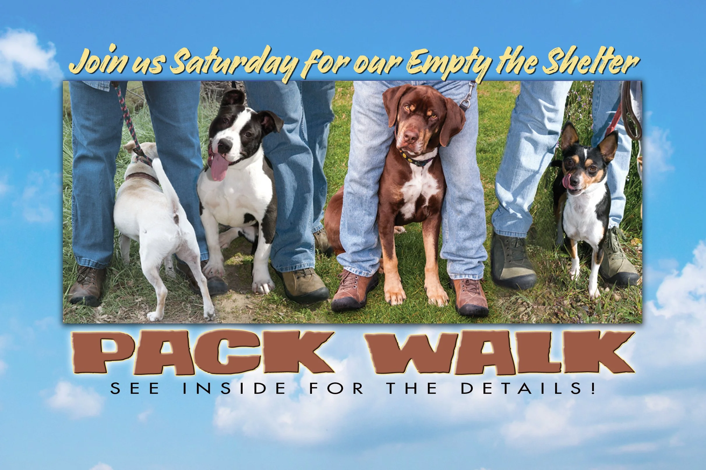 PACK-WALK-4_2026 copy.jpg