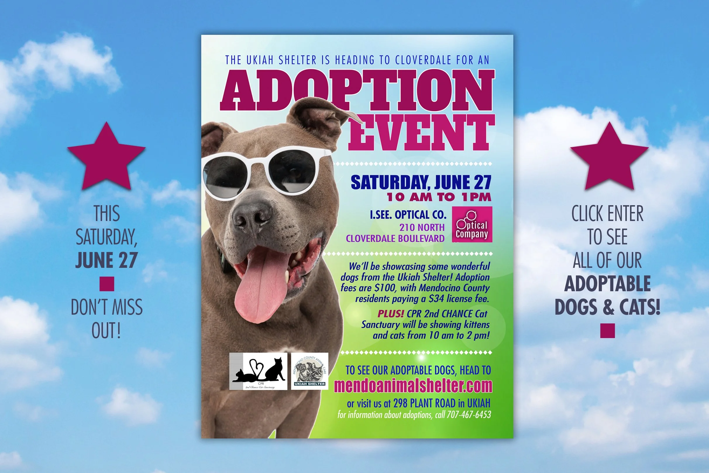 adopt-event-62726.jpg