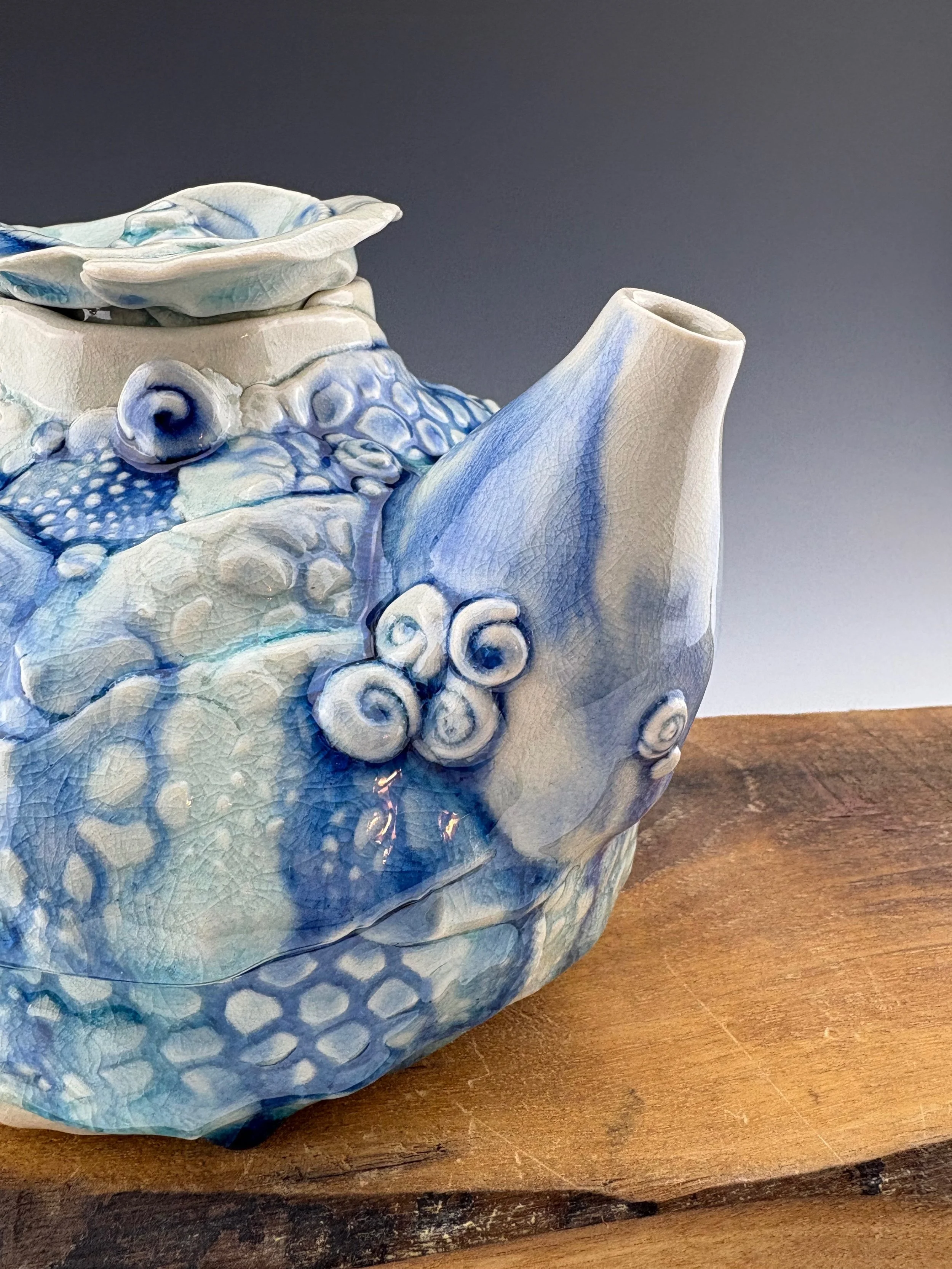 Blue Barnacle - Gillian Boon