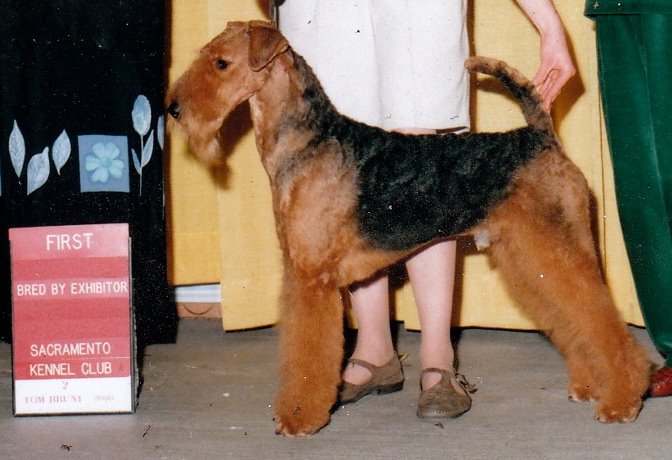 Fido 2