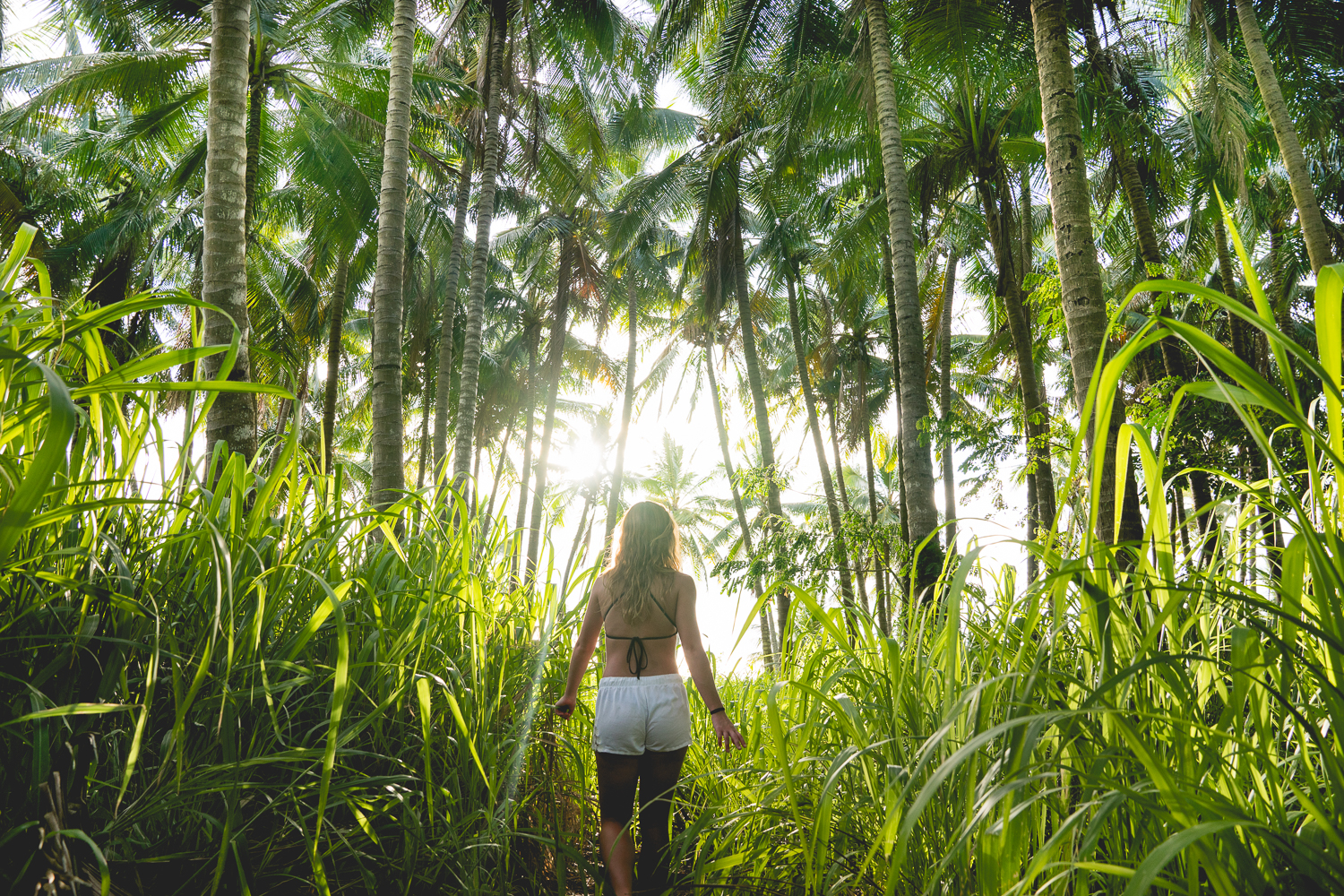 Maddie Palm Tree.jpg