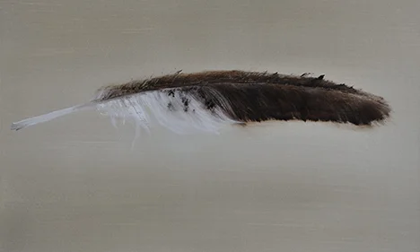 Hawk Feather