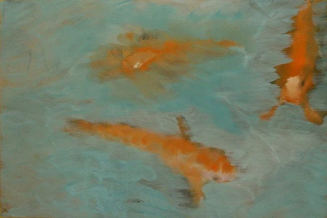Koi