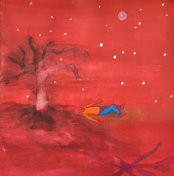 Gaze At the Night Sky