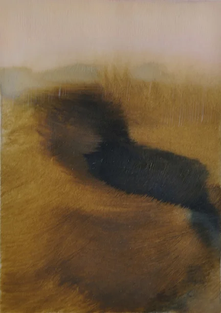 Shadowlands