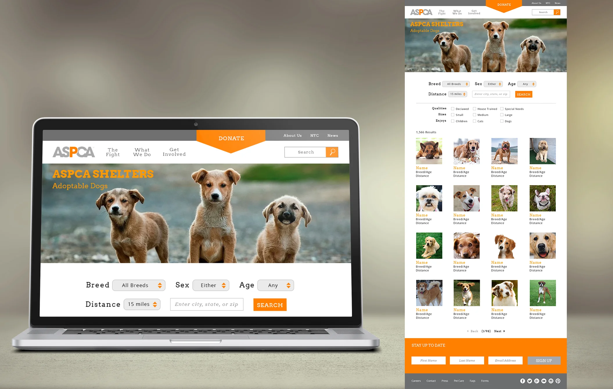 ASPCA dogs.jpg