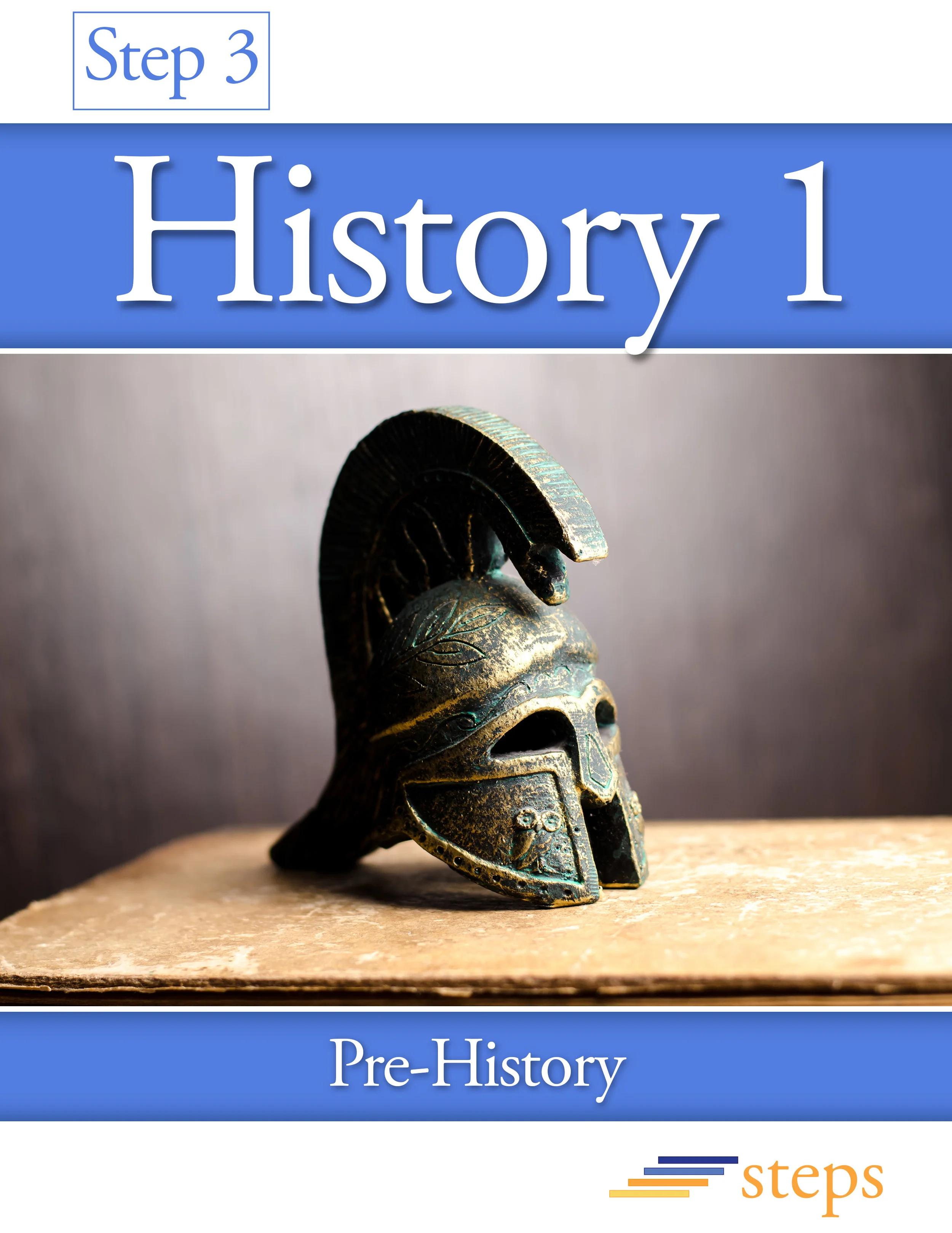 Step 3 History 1 cover.jpg
