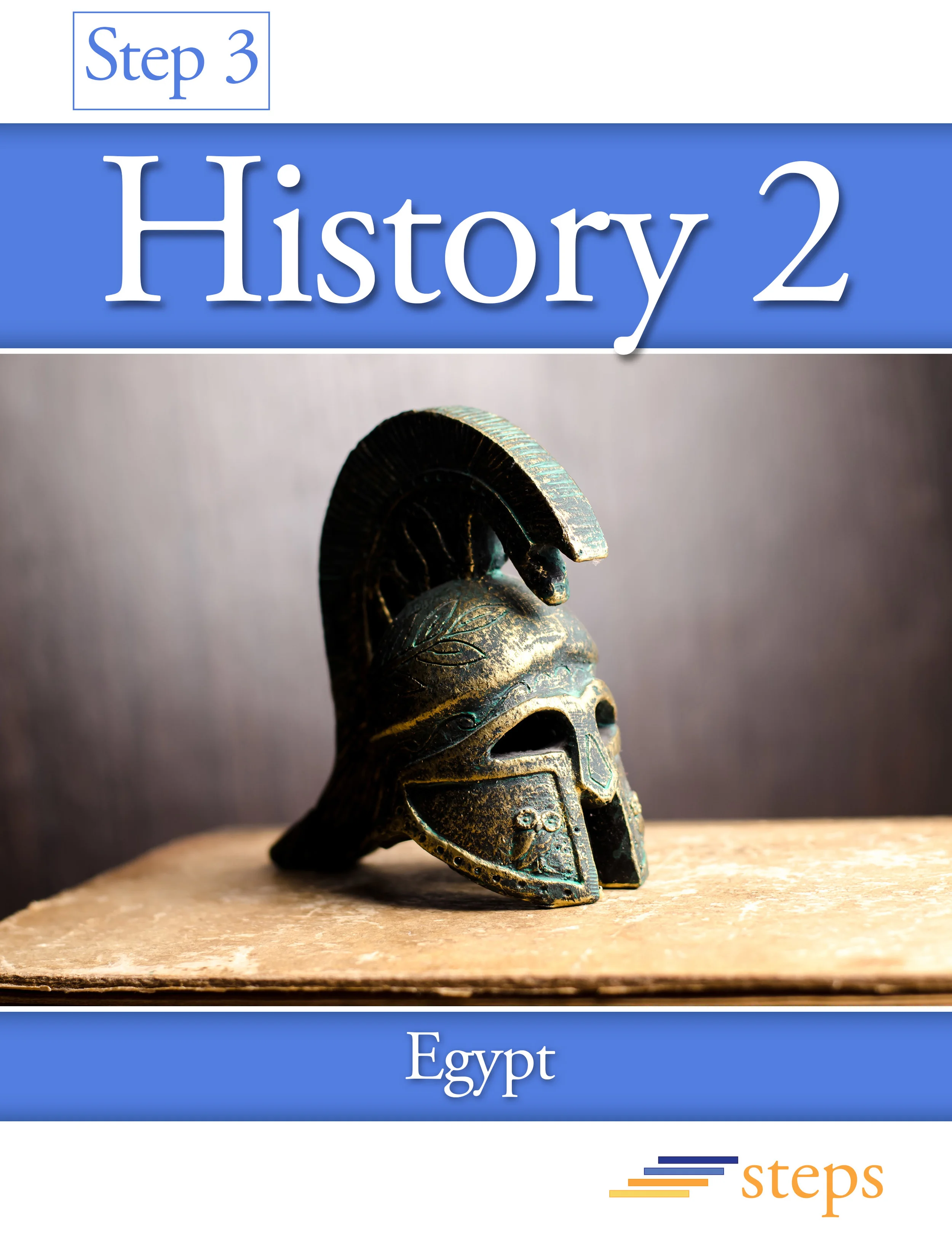 Step 3 History 2 cover.jpg