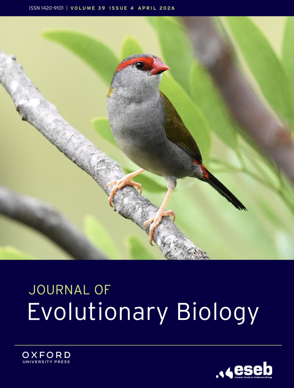 Red-browed Finch on the cover of the Journal of Evolutionary Biology