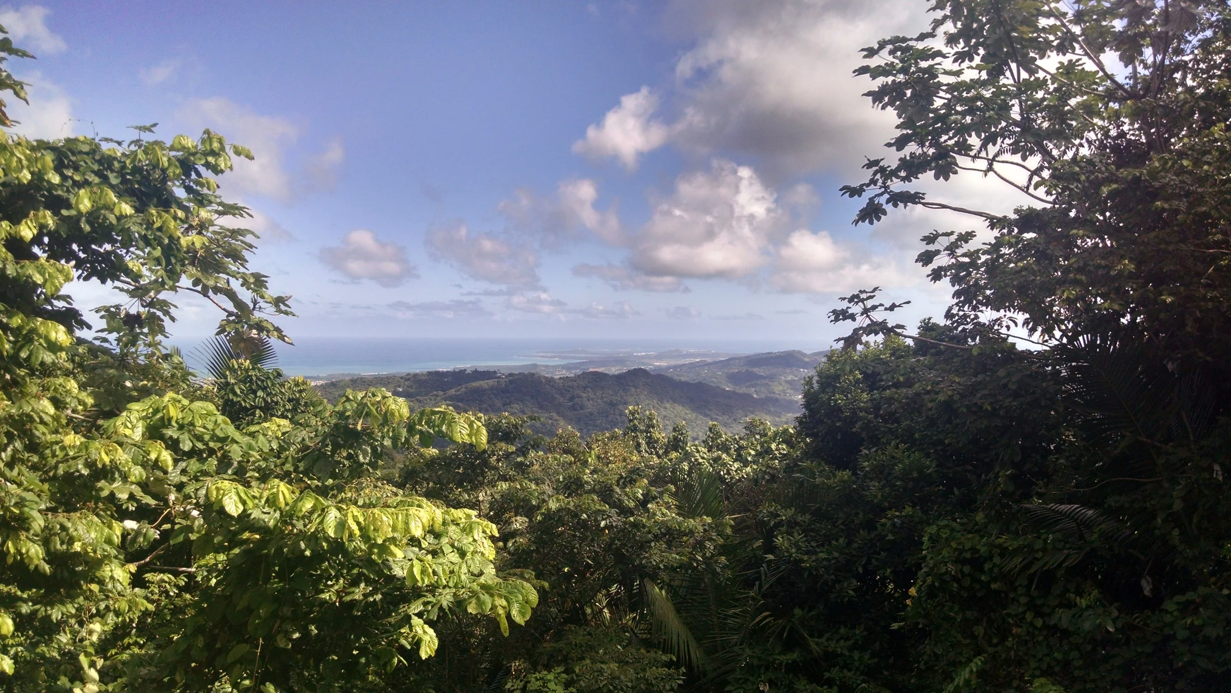 IMG_20141220_120636213_HDR.jpg