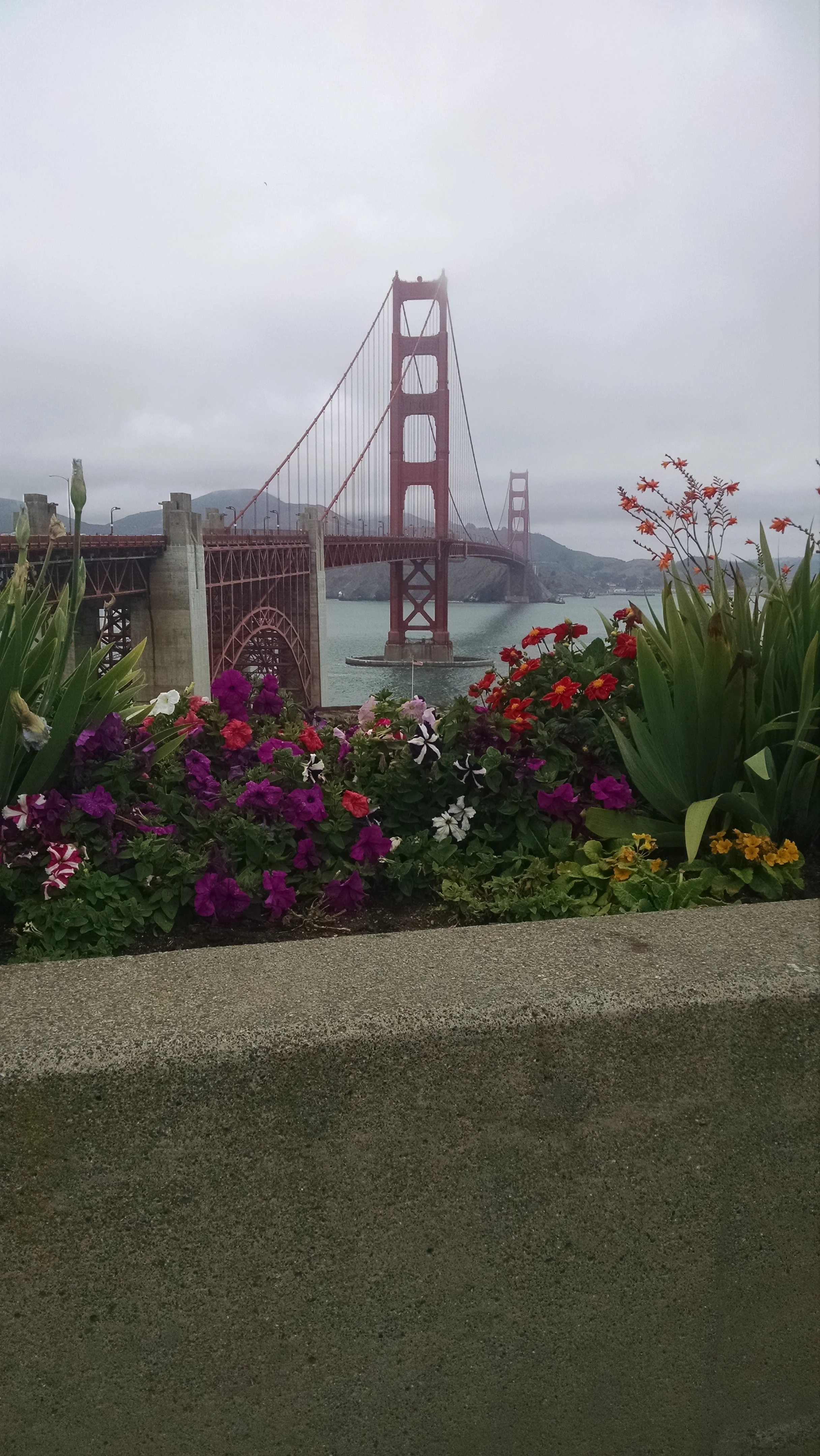 IMG_20150709_144950799.jpg