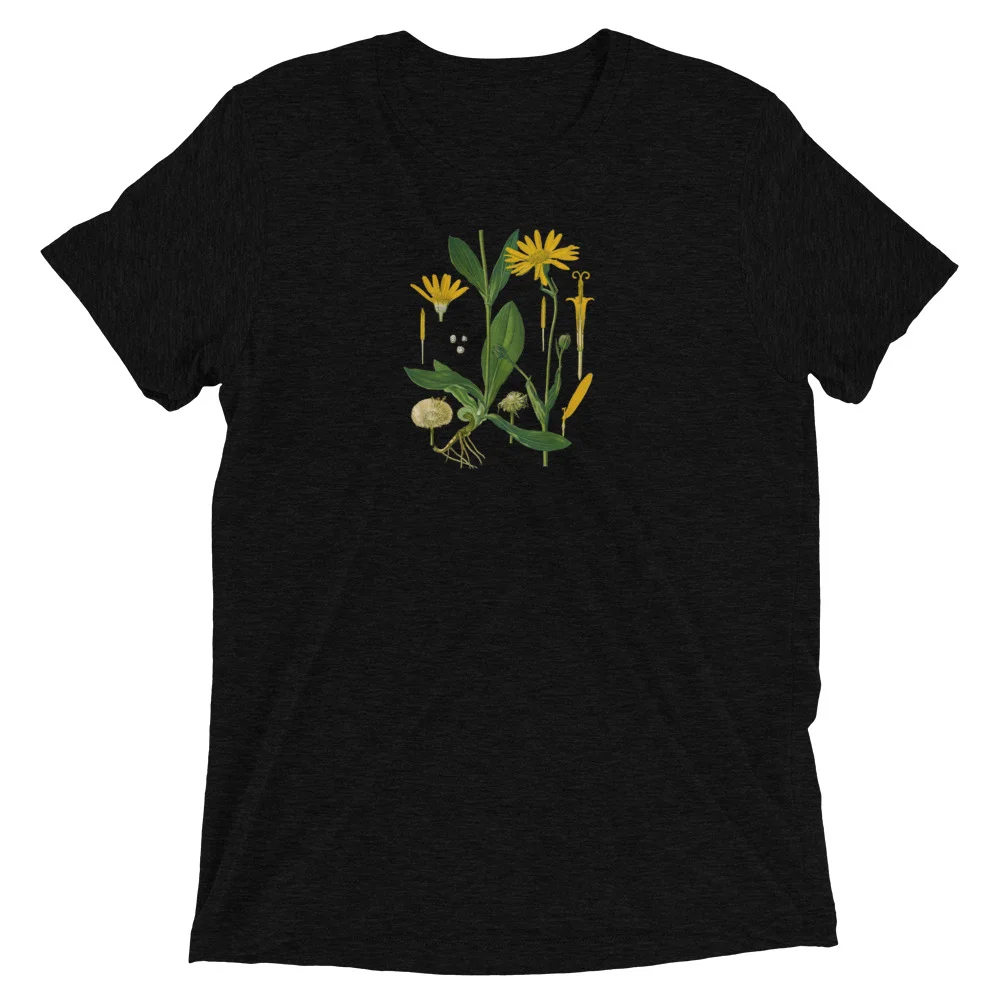 arnica12000px_mockup_Front_Flat_Solid-Black-Triblend.jpg