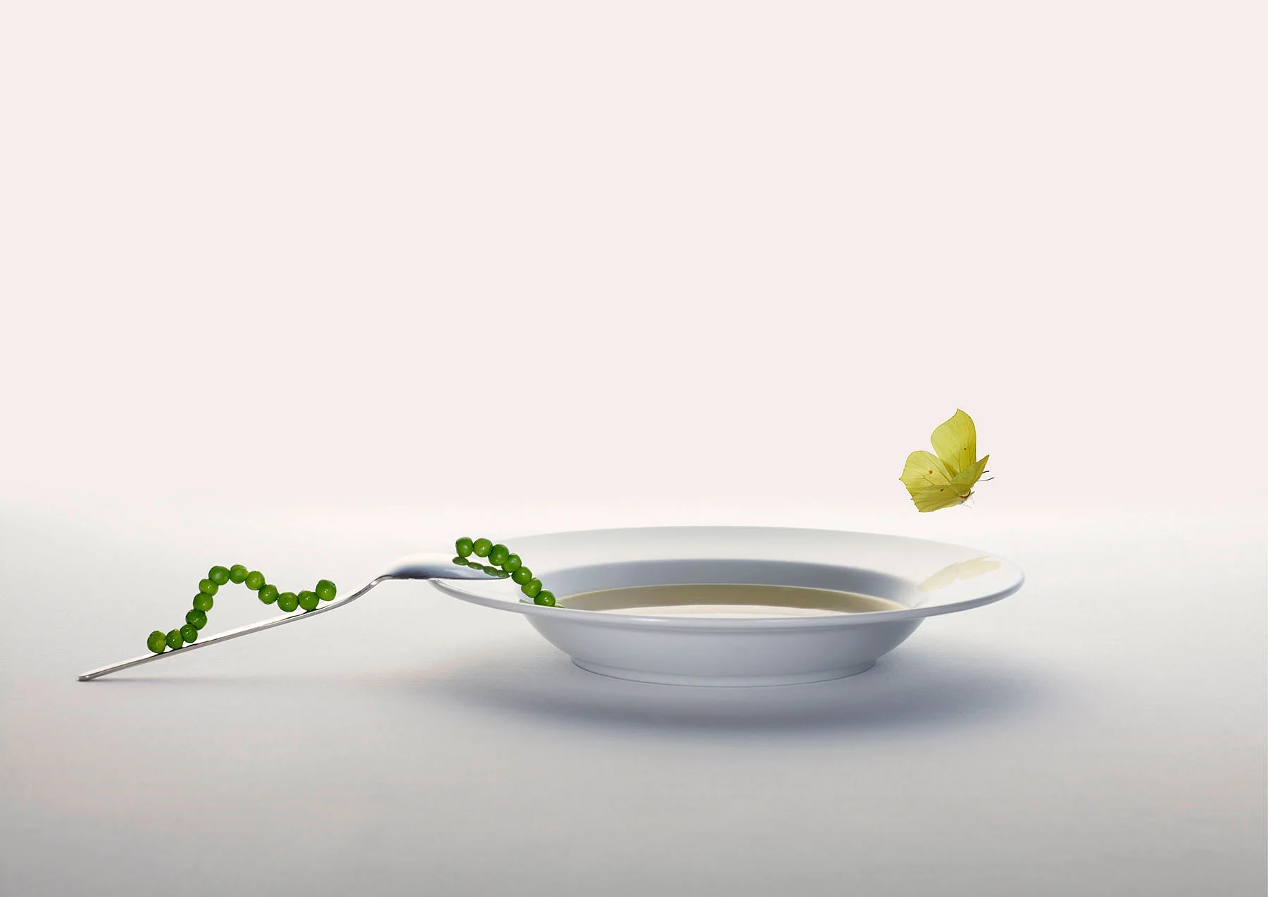 Soup_Butterfly.jpg