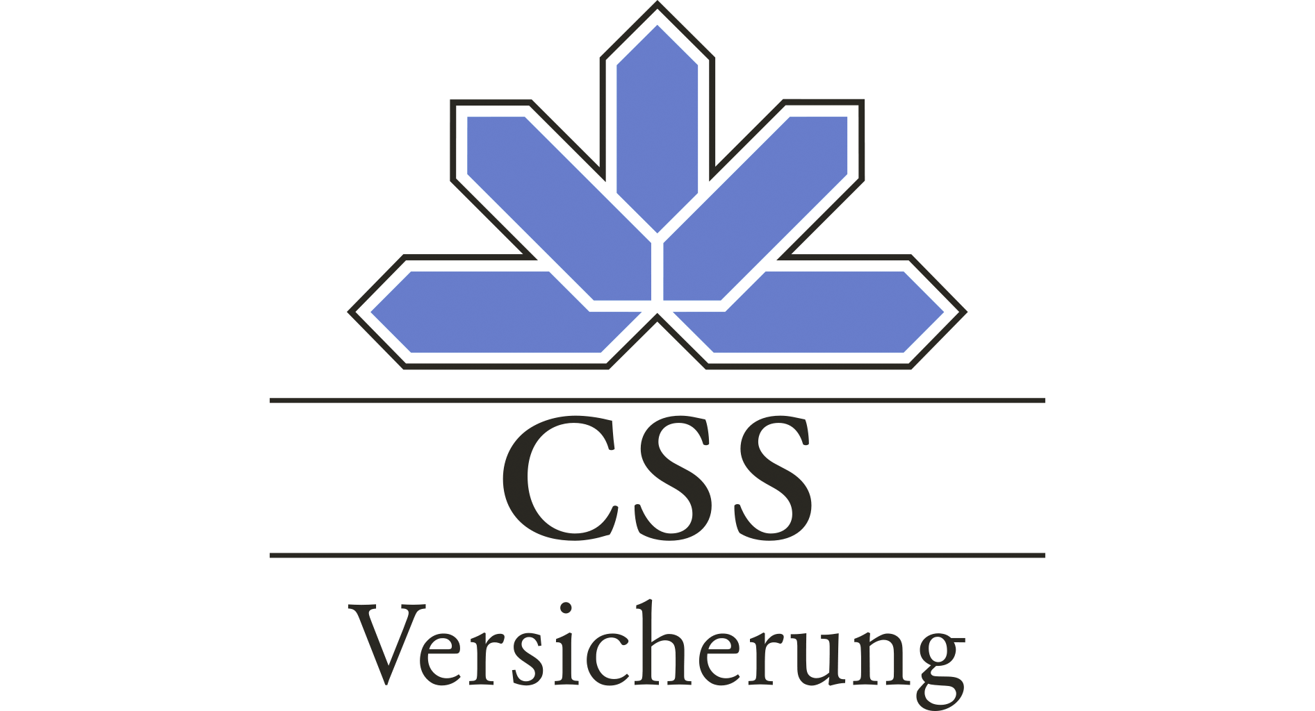 CSS Kopie 2.png