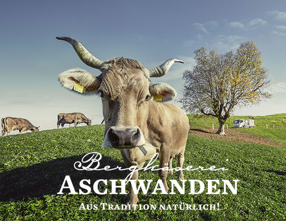 Kühe_Weide_Wagen 2.jpg