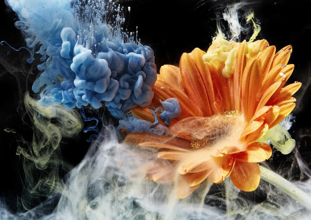 Orange_Blume_A4.jpg