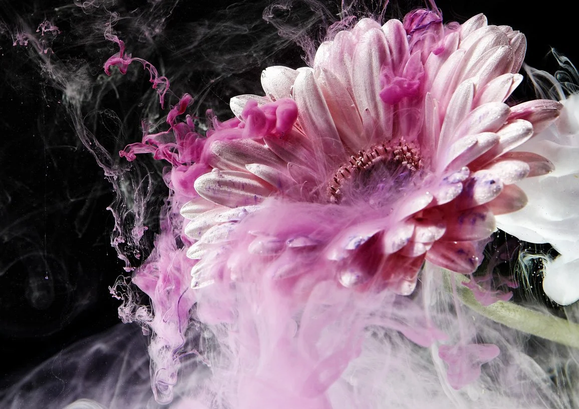 Rosa_Blume_A4.jpg
