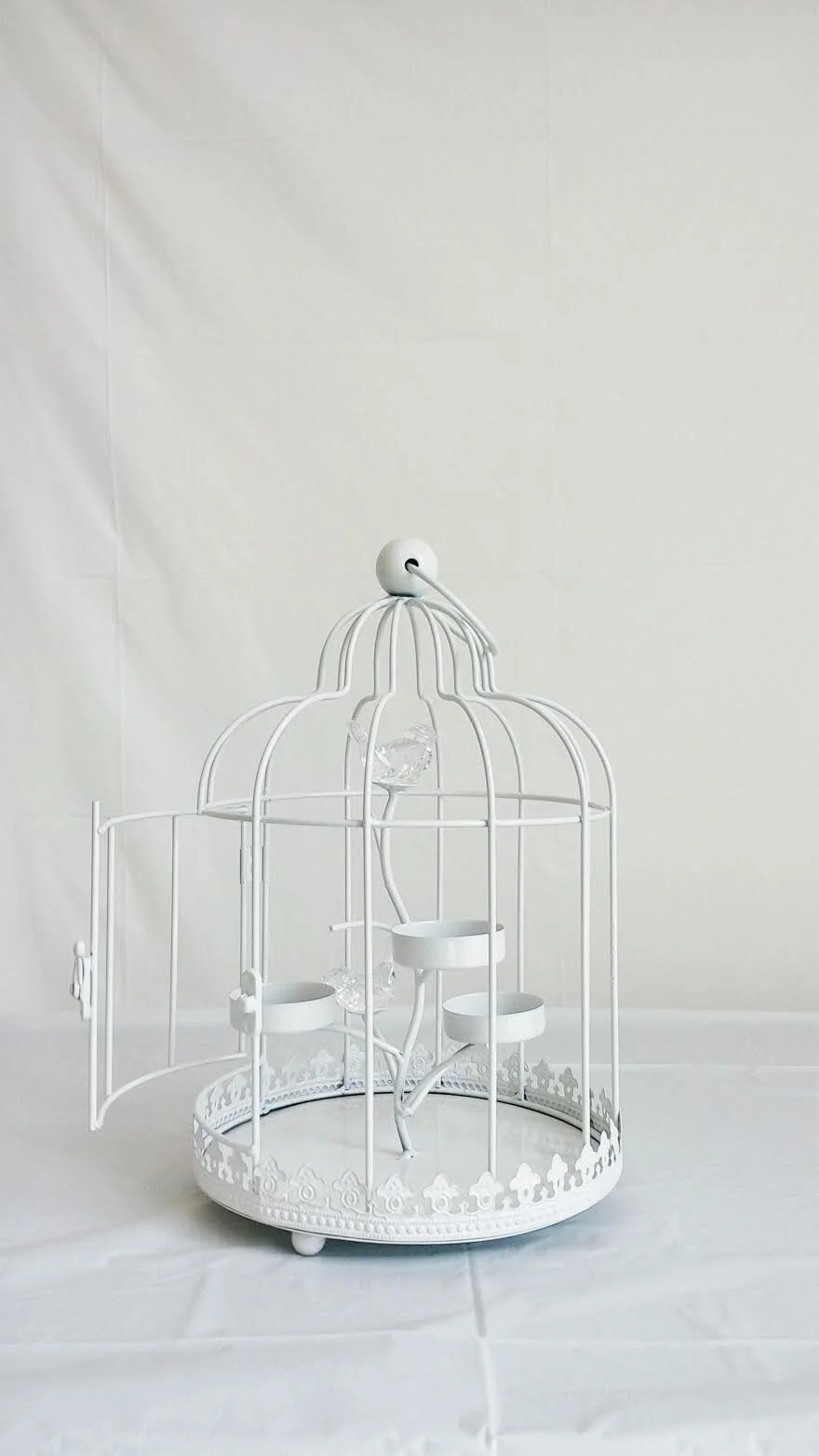 White Bird Cage 