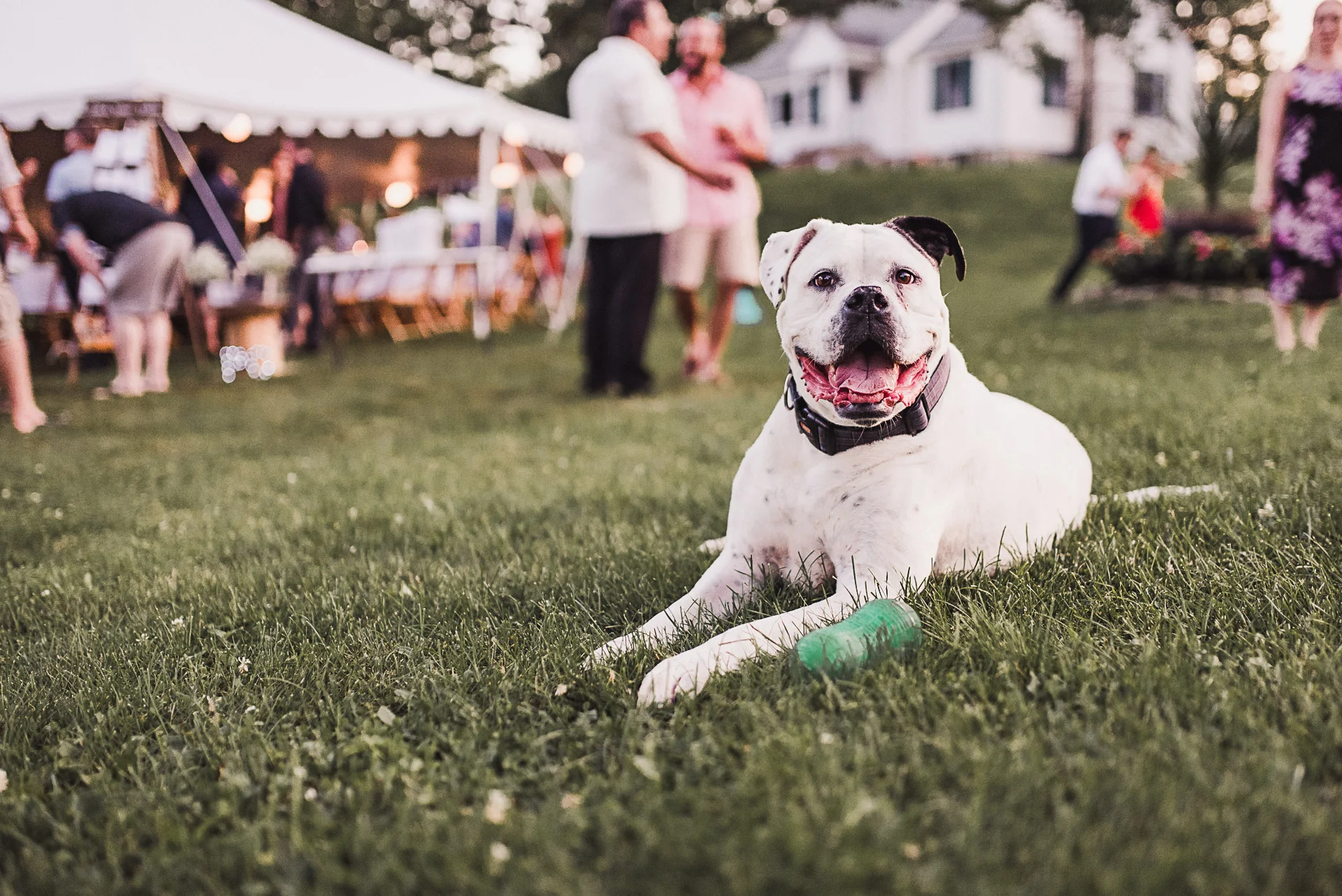 NJ wedding photography28.jpg