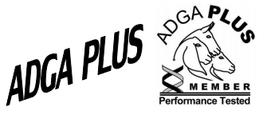 We are an ADGA Plus herd!