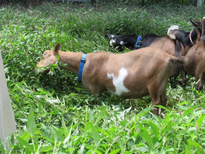 Blood test results are back!  