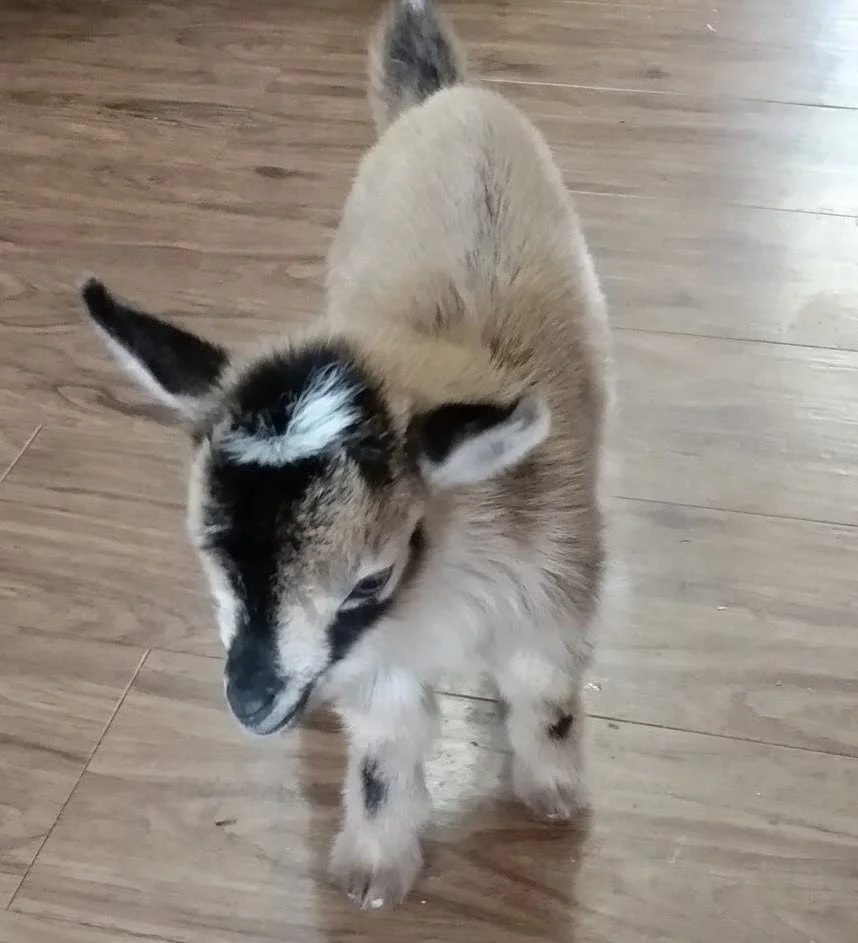 ??
