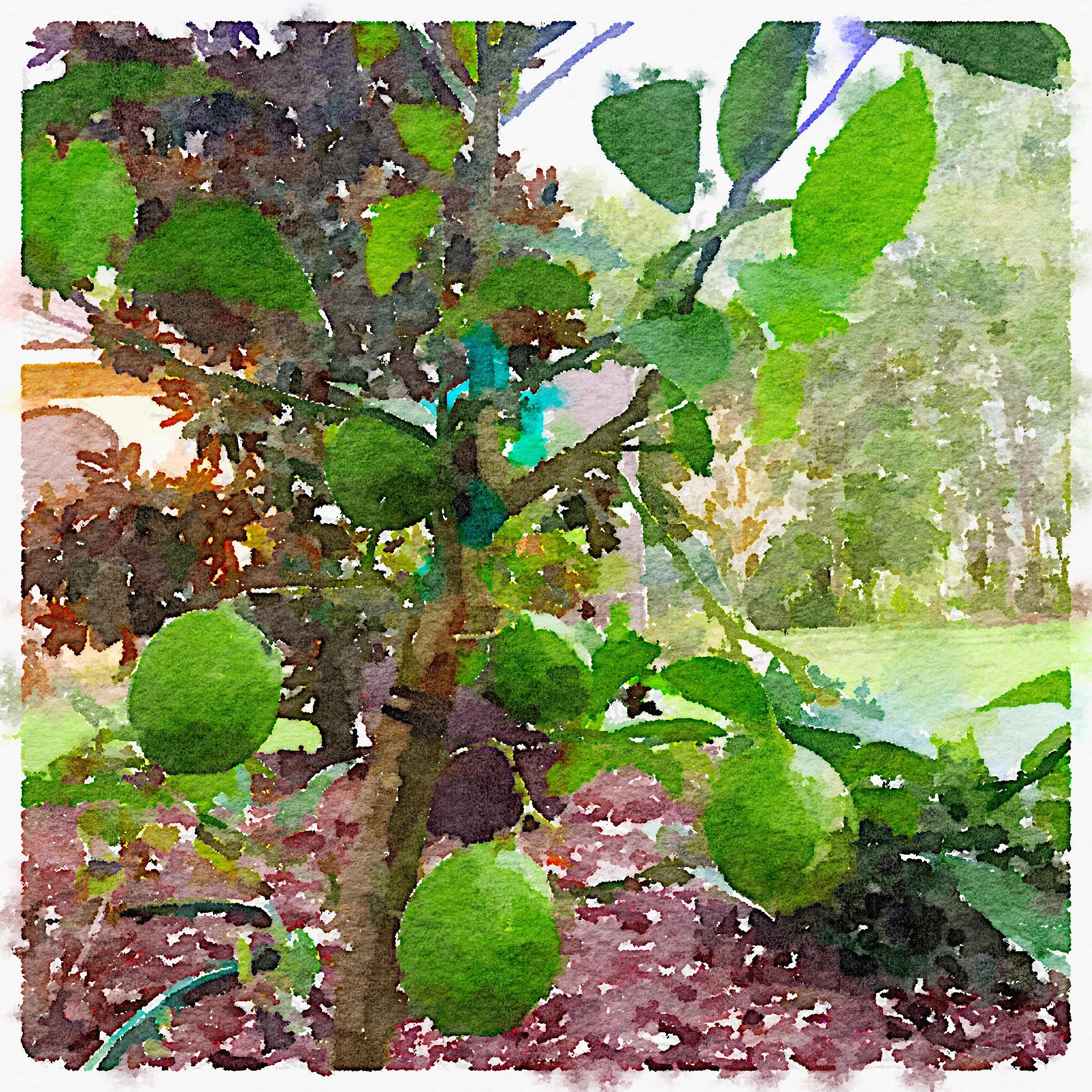 Painted in Waterlogue