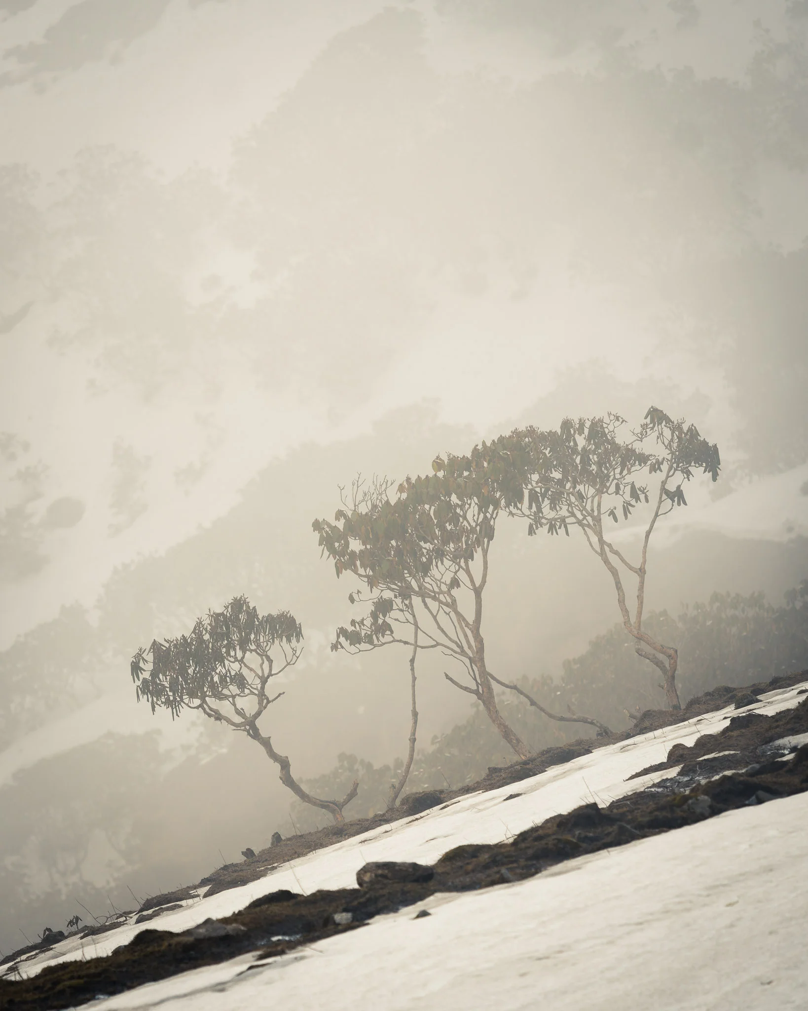Kopra Ridge