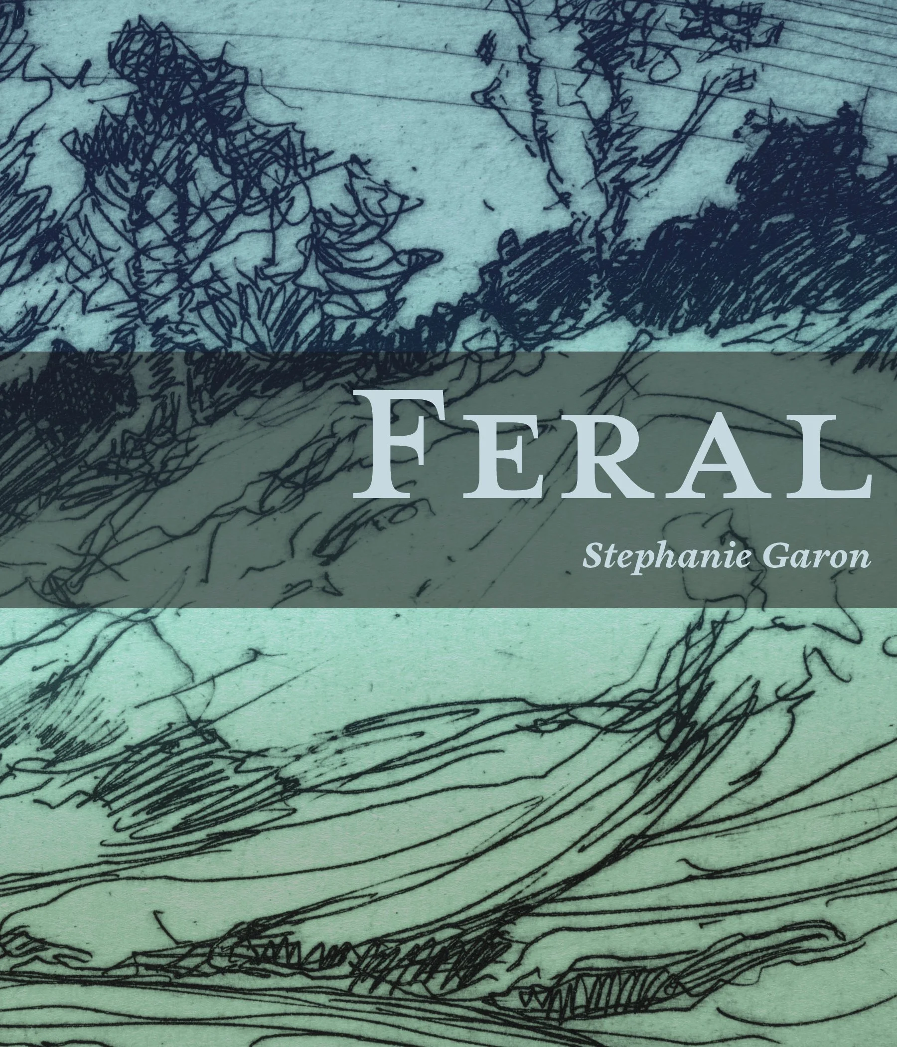 feral cover.jpg