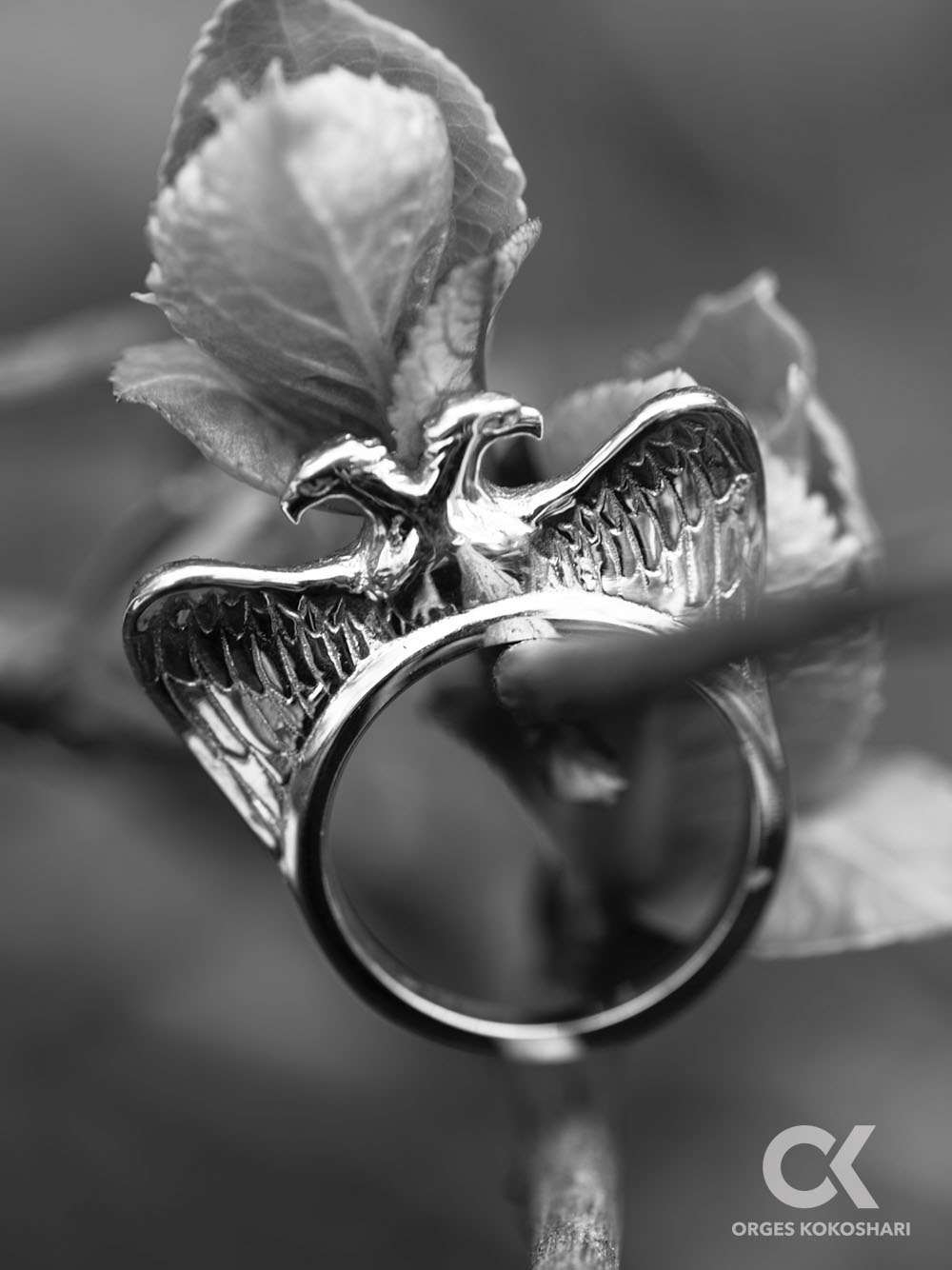 eagle_ring_copyright_2016_Orges_Kokoshari_07A.jpg