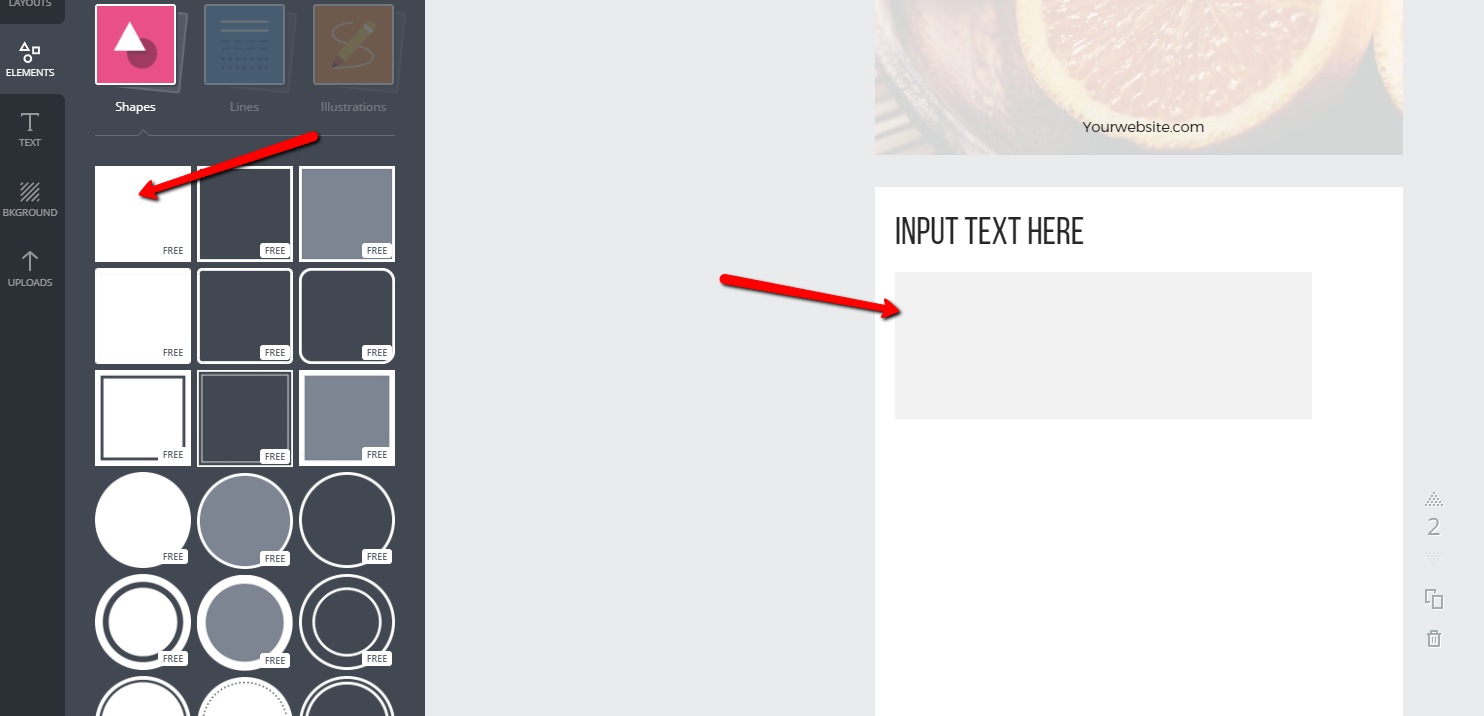 Input_text_here_with_box.png