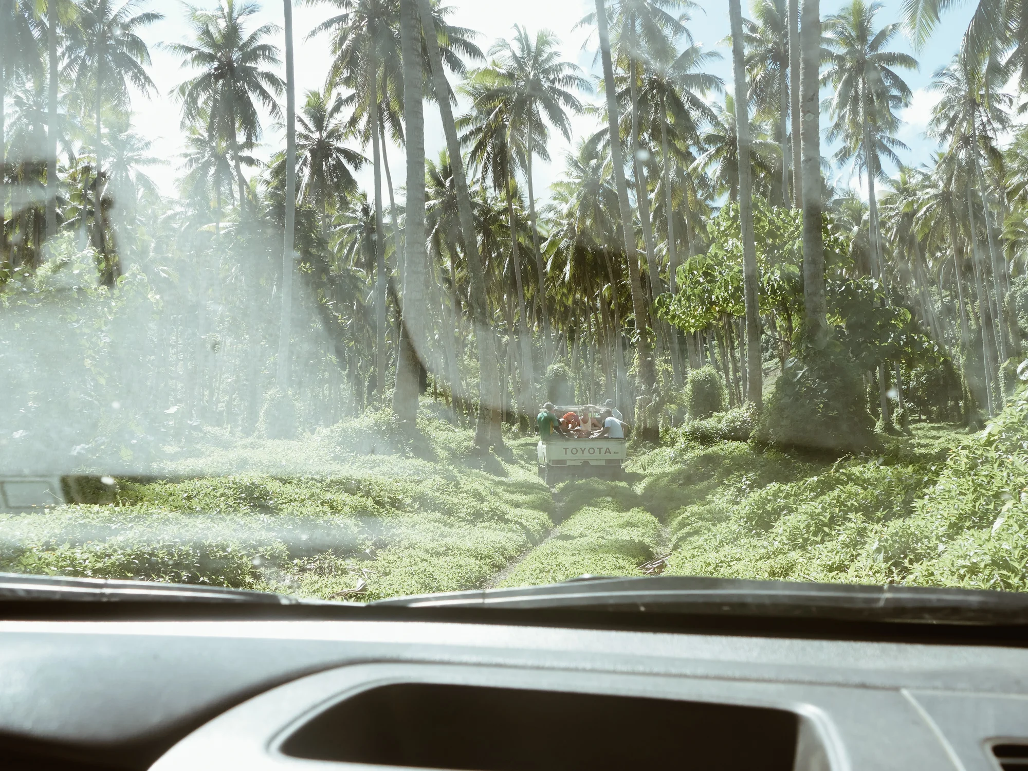 Driving through the jungle in Pentecost Island, Vanuata, South Pacific.