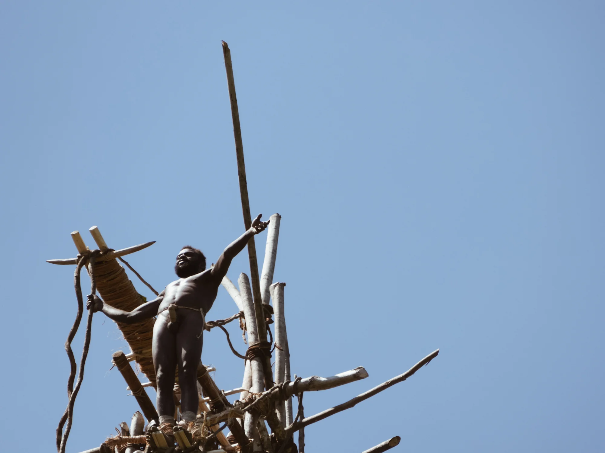 Land diver of Pentecost Island prepating to jump, Vanuatu, Melanesia.