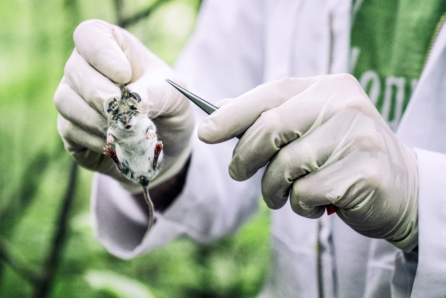 Lyme Disease // Men's Health
