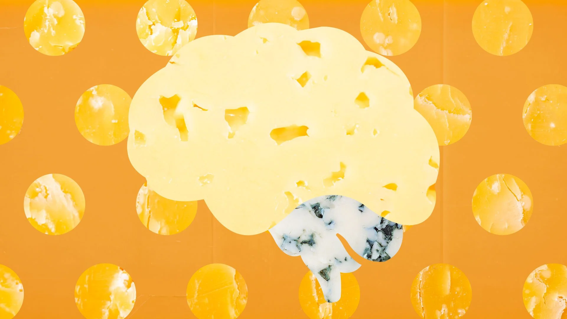 Can eating cheese lower your dementia risk? // Fast Company